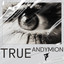 True - Extended Mix