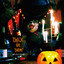 1997 (Live Track) cover