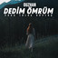 Dedim Ömrüm cover