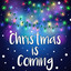It's the Most Wonderful Time of The Year cover