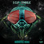 Live Your Life - Audiotec Remix