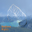 # 1 Album: Bedtime Nights cover