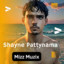 Shayne Pattynama cover