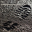 These Tales are Crooked - Roger D'Arcy - Footprints in the Wet Cement