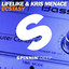 Ecstasy - Extended Mix