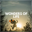 Wonders of Life cover