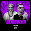 Beribolha