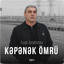 Kəpənək Ömrü cover