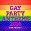 Gay Party Anthems 2014 cover