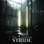 STRIDE cover