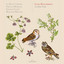 String Trio in G Minor, Op. 6 No. 5, G. 93: I. Adagio cover