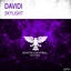 Skylight - Extended Mix