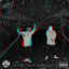 S.I.N. (Self In Neglect) cover