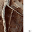 VSAN — Orden Mineral cover art