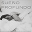 Sueño Profundo: Relajantes Sonidos De Vientos En El Bosque Para Dormir En Minutos cover