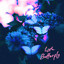Lyta - Butterfly | JustNaija.com