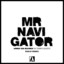 Mr. Navigator - Ran-D Extended Remix
