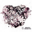 Shake Shake cover