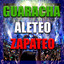 guaracha mix aleteo, zapateo, guarach mix 2026 astra - la yeka guaracha guaracha2026 aleteo