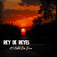PROMO BUSCANDO AMOR - SABAS REYES Y REY DE REYES 9:52