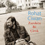 Gûlfiroş cover