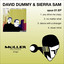 David Dummy — You Drive Me Crazy (Original Mix) cover art