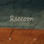 Raccoon