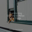 Comforting Sounds to Relax For Dogs cover