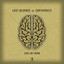 Lose My Mind
