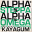 Kayagum cover