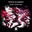 Put Me Up feat. Zaphy