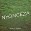 Nince Henry - Nyongeza