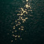 Shine cover