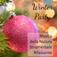 Winter Party - Musica della Natura Strumentale Rilassante per Inverno Caldo Spa Benessere Vacanze di Natale con Suoni Meditativi New Age Calmanti cover