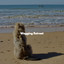 Wagging Retreat cover