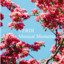 Verdi - Musical Moments cover