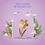 Parlami cover