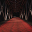Red Cat - Everybody's Walking (Radio Mix)