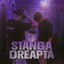 Stanga Dreapta