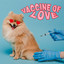 Vaccine of Love cover