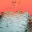 zZz Spring Bliss: Rain Recordings from the Plains zZz cover