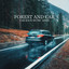 Forest and Car: Car Race Music ASMR (Car on the Highway, Race in the Forest, Relaxing Car Ride, Car in the Rain) cover