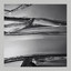 Two Swords — Wasp Nest cover art