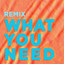 What You Need - Marc Brauner Remix
