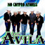 La Pava Norteña cover