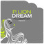 Dream - Pulsedriver 80s Mix