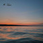 Dawn
