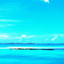 Blue Skies cover