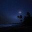 Mr. Austin Nature Hub - Beautiful Waves