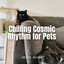 White Noise: Chilling Cosmic Rhythm for Pets cover